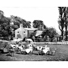 11. The tea garden at Cornerstones in the 1950's