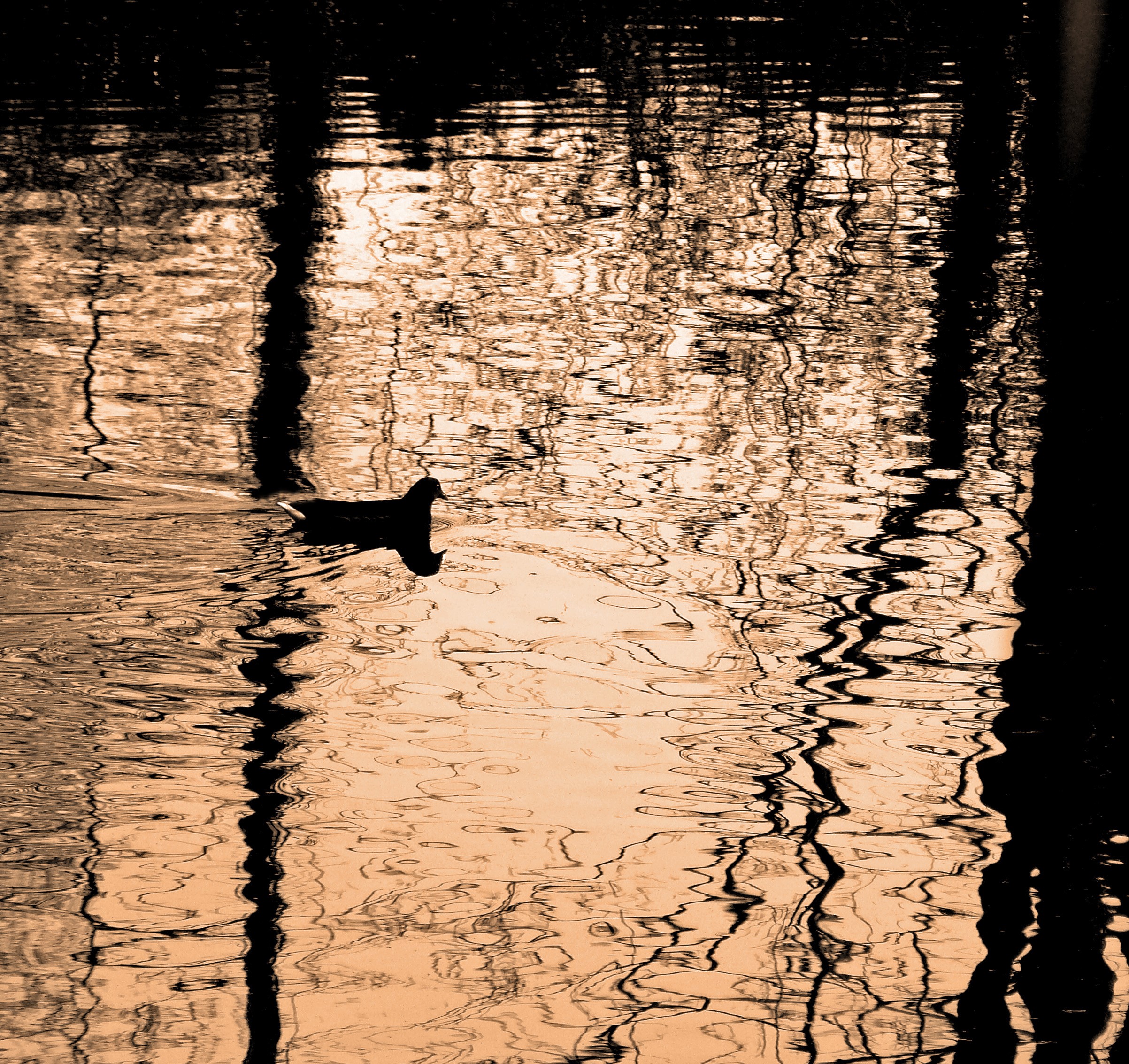 Addingham Civic Society 2023 Photography Competition