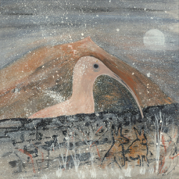 Light Curlew