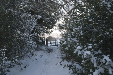 Smallbanks in the snow