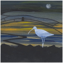 5marchup curlew