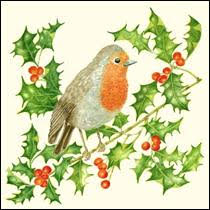 10robin-on-holly.jpg